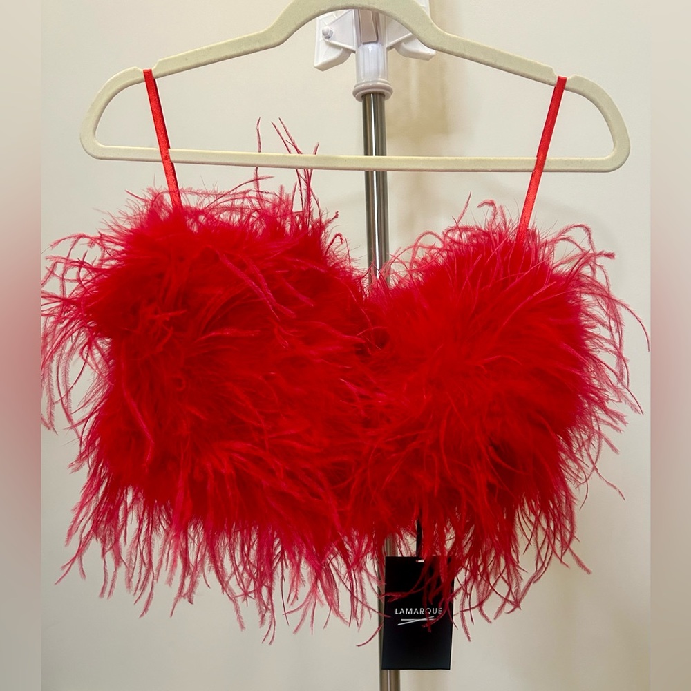 Lamarque x Revolve Zaina Bustier; Red; feathers; Small